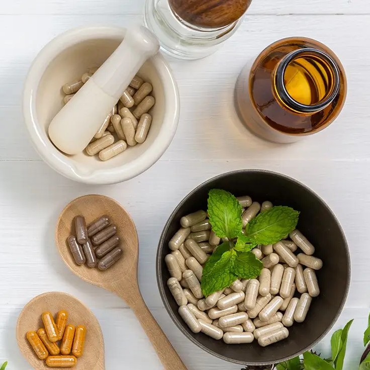 Probioticos